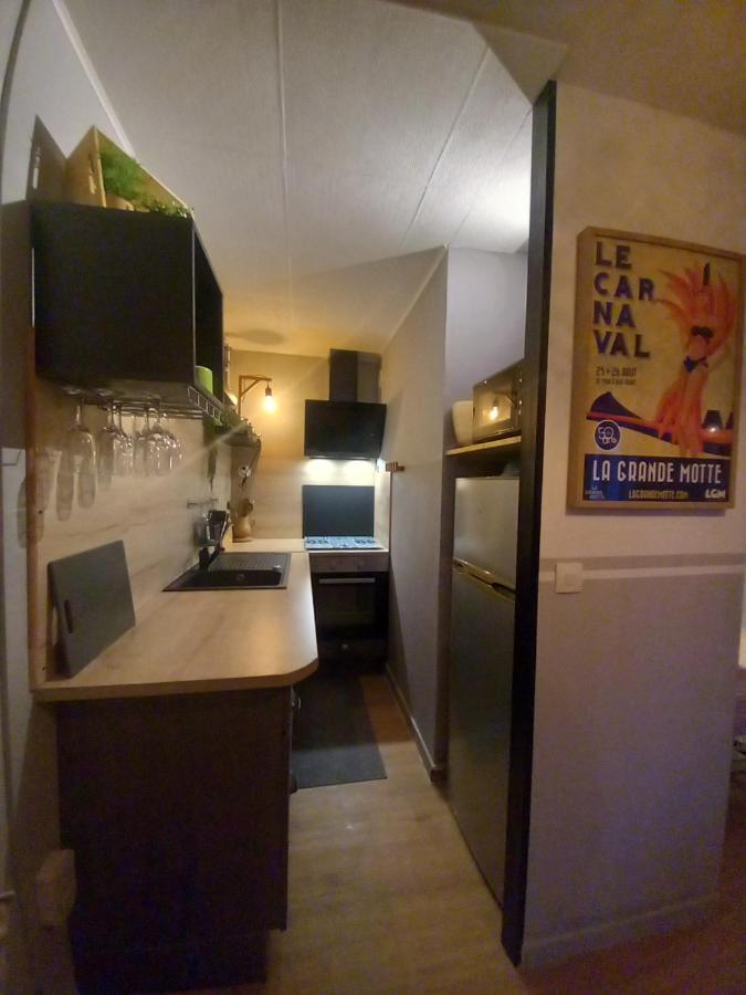 Rose Cote Mer Studio Et Garage, Entree Autonome Apartment La Grande-Motte Exterior photo